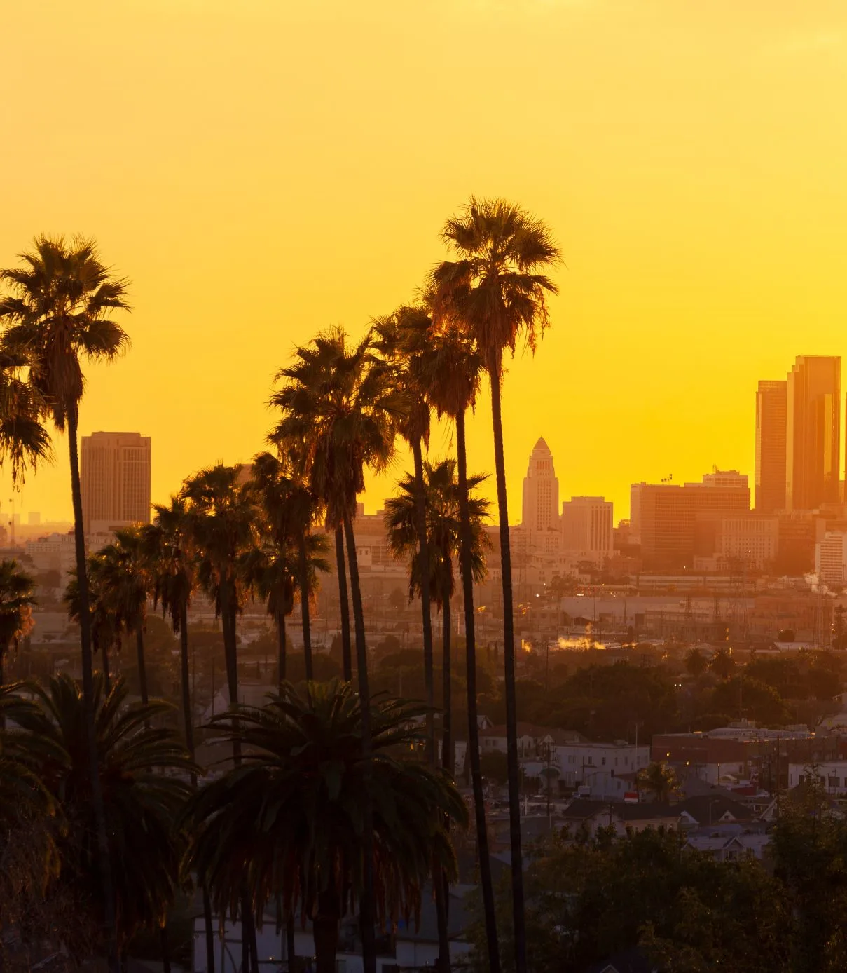 KASA_Recovery_Intensive_Outpatient_Treatment_Center