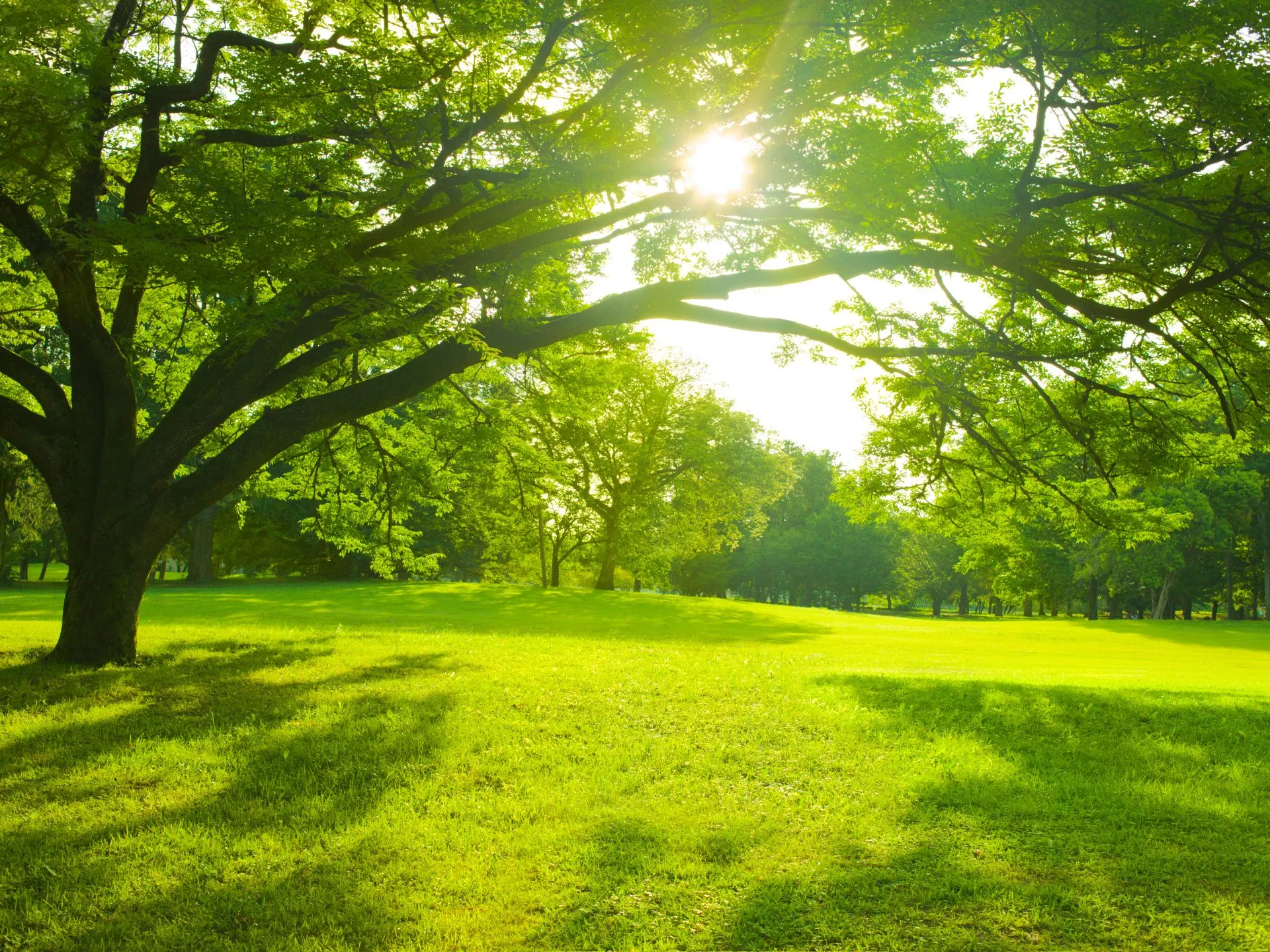KASA_Recovery_Outpatient_Treatment_in_LA