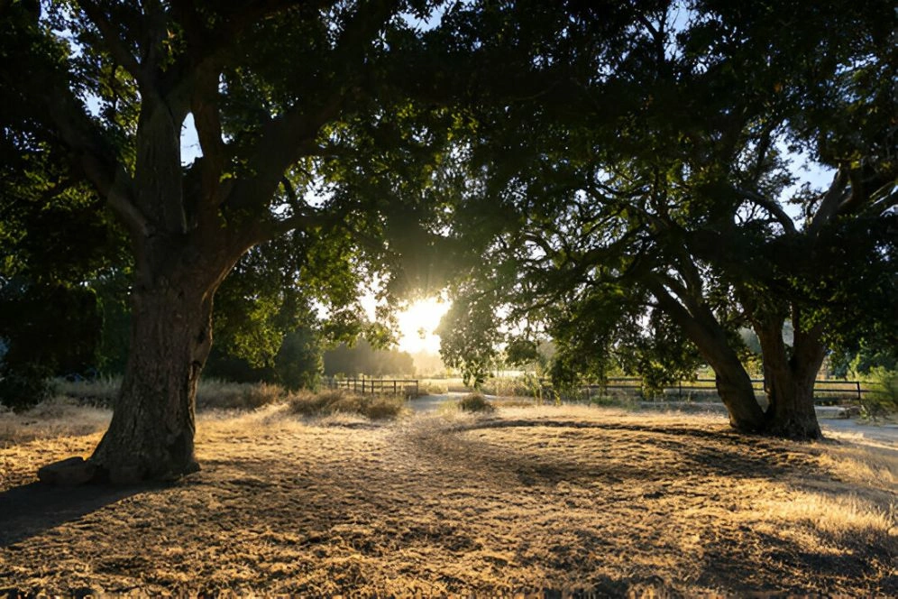 KASA_Recovery_Contact_Addiction_Center_LA