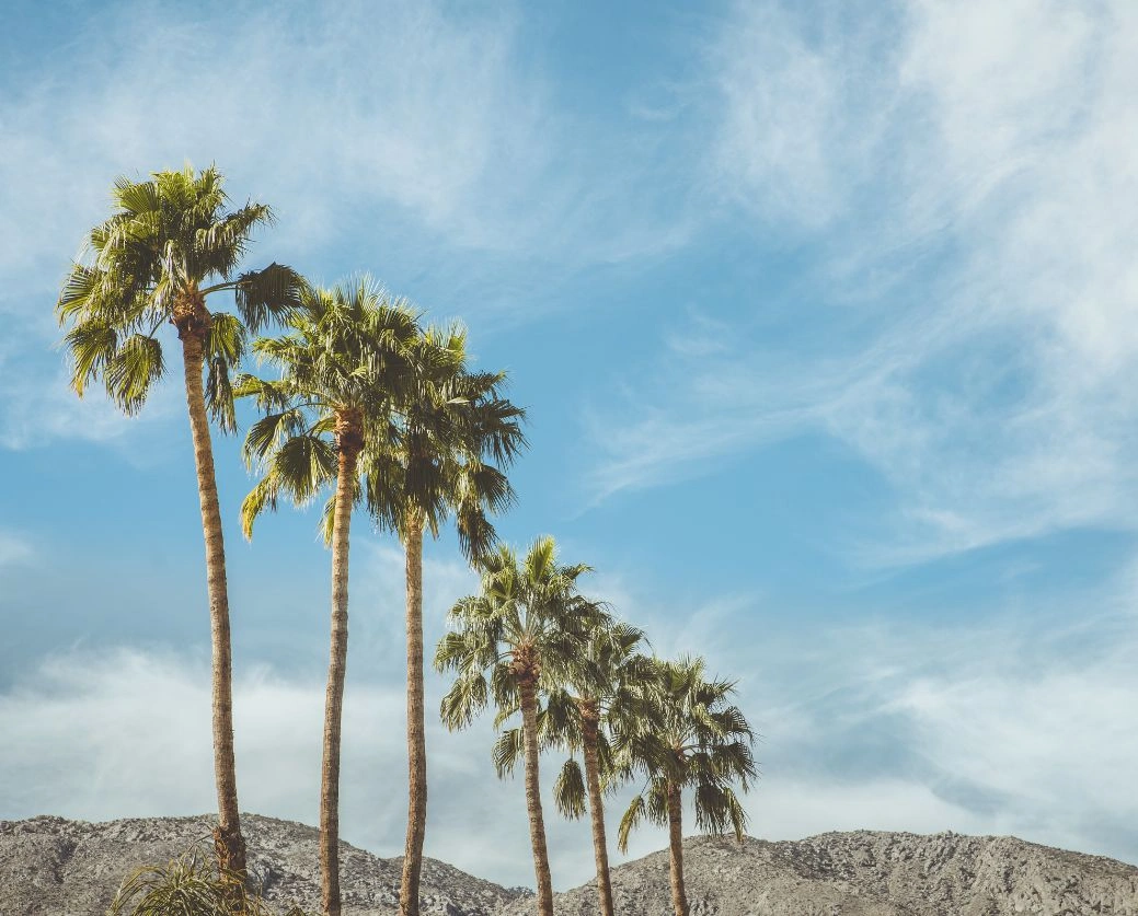 KASA_Recovery_Intensive_Outpatient_Program_In_LA