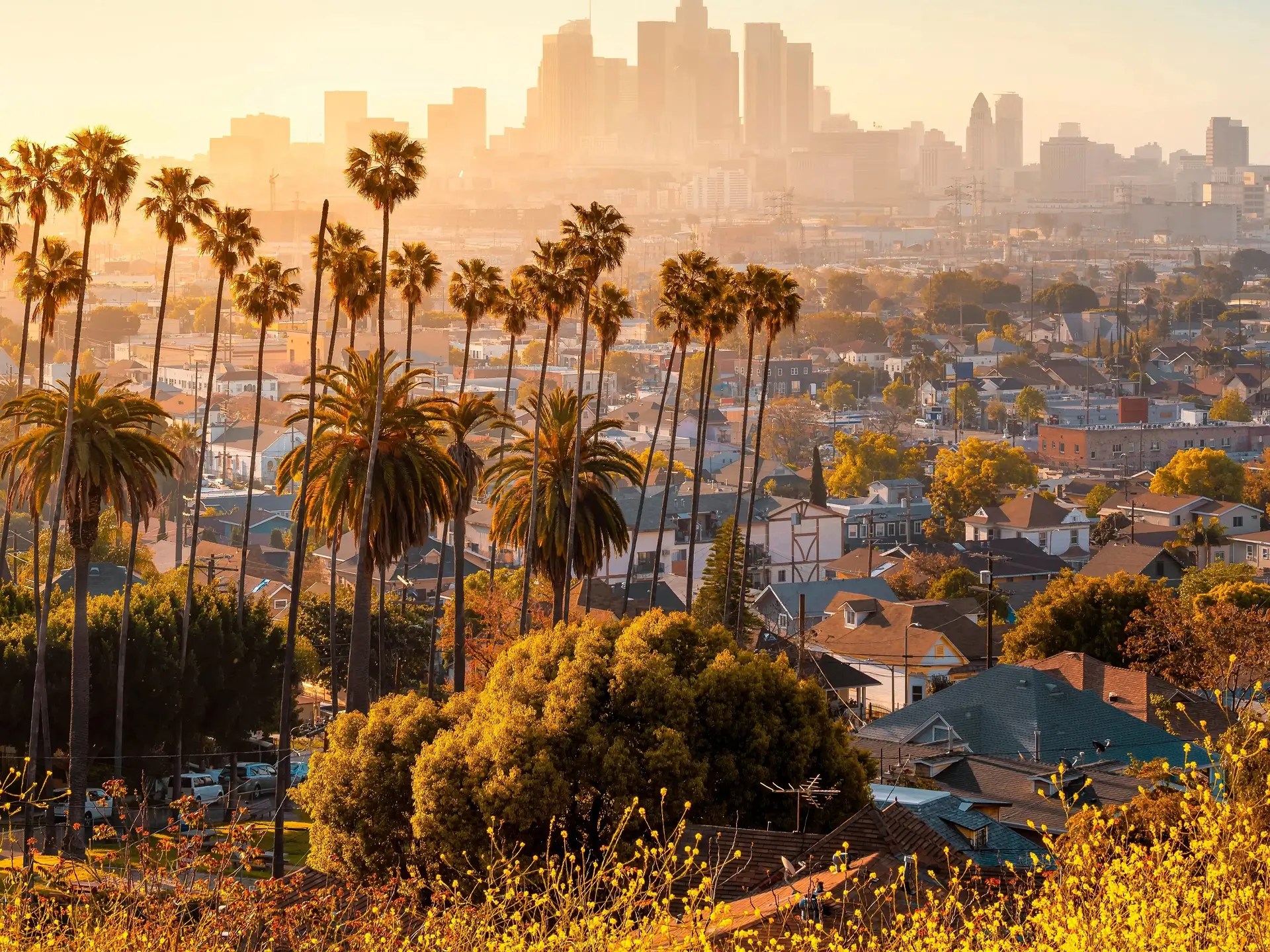 Do Rehabs in California Accept Insurance